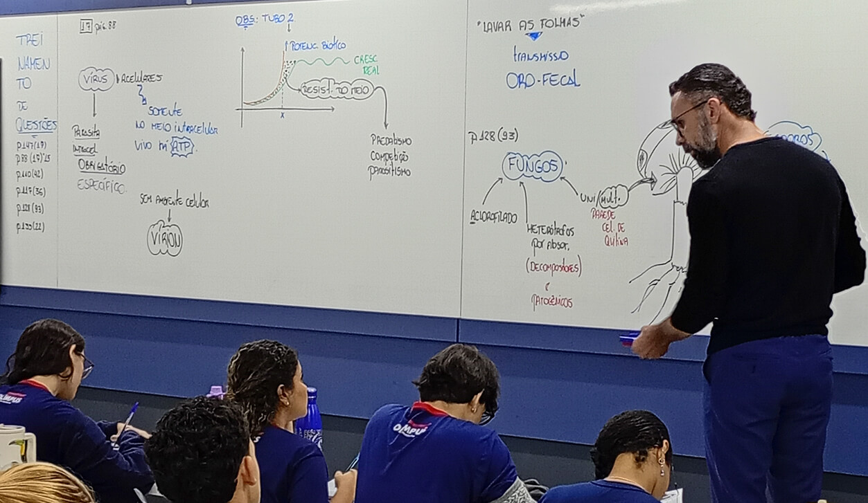 Mentoria de estudos individual